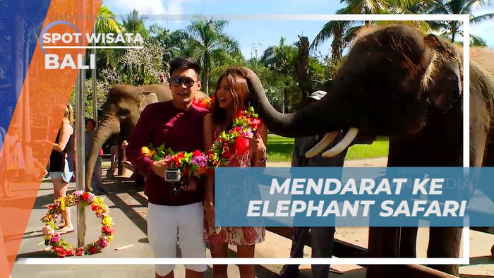 Mengisi Liburan dengan Berkunjung ke Taman Wisata Satwa di Pulau Dewata, Bali