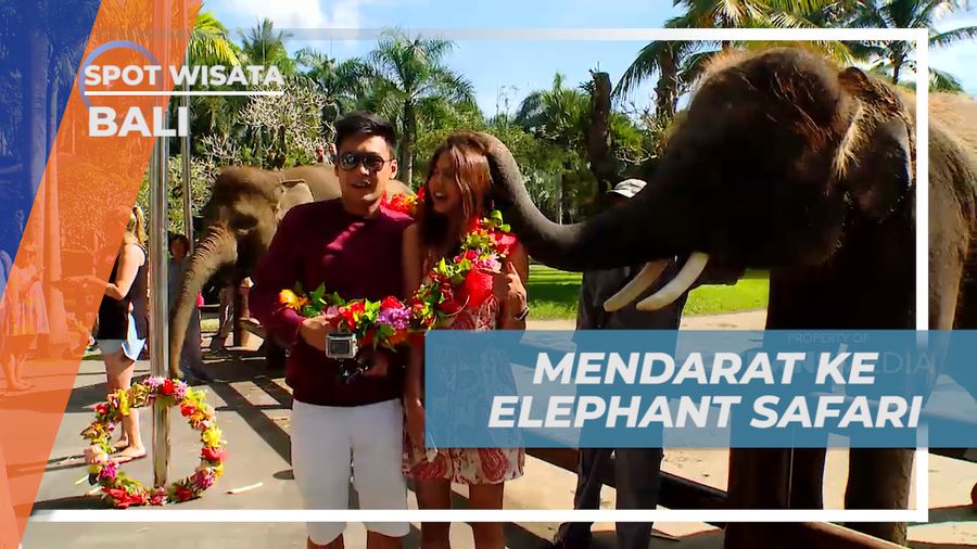 Mengisi Liburan dengan Berkunjung ke Taman Wisata Satwa di Pulau Dewata, Bali