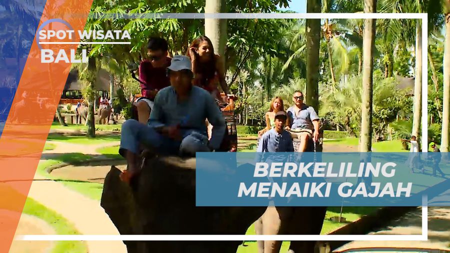 Menikmati Keseruan Berkeliling Taman Wisata Satwa Naik Gajah, Bali