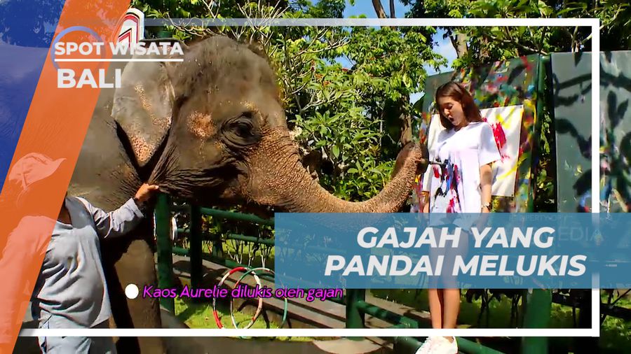 Senangnya Mendapat Kenang-kenangan dari Gajah yang Pandai Melukis, Bali