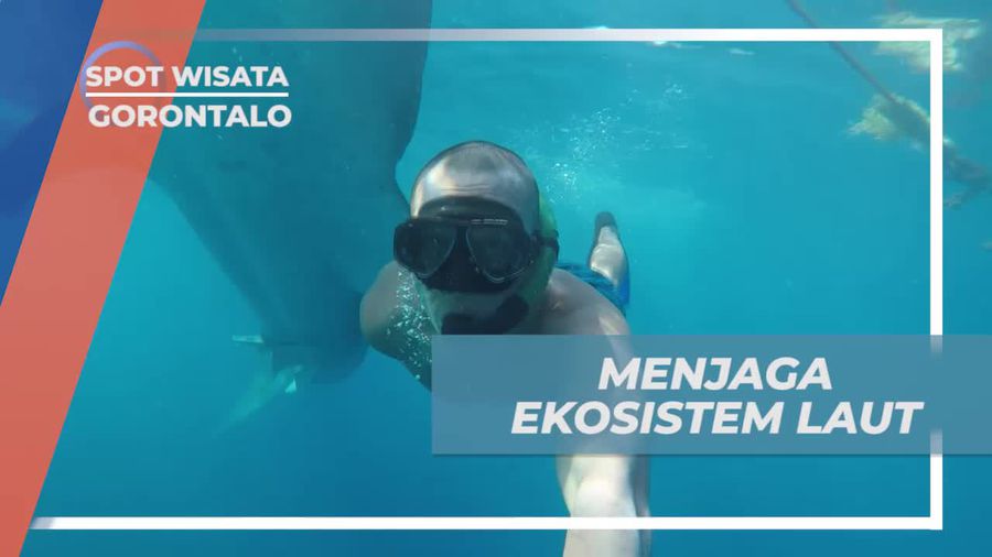 Menjaga Ekosistem Laut Untuk Kelanjutan Hidup dan Keindahan Laut Gorontalo