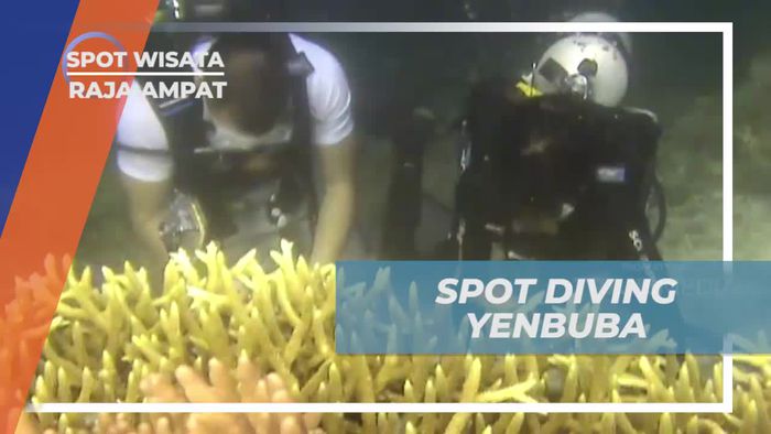 Yenbuba, Salah Satu Spot Diving Dengan Keindahan Aneka Biota Laut Raja Ampat