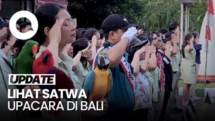 Satwa di Taman Safari Bali Ikut Upacara HUT RI ke-79