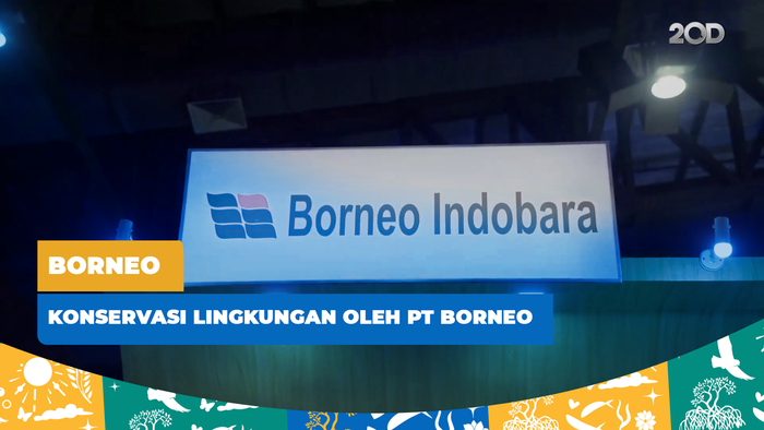 Borneo Indobara Hijaukan Alam Lewat Pelestarian Terumbu Karang dan Aviari