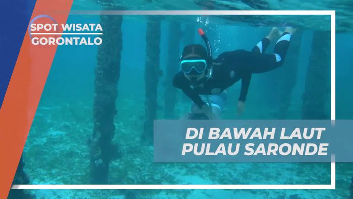 Snorkeling Menyusuri Kejernihan Air Pulau Saronde Gorontalo