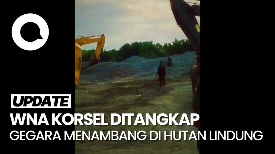 WN Korsel Ditangkap Gegara Menambang di Kawasan Hutan Lindung Pasangkayu