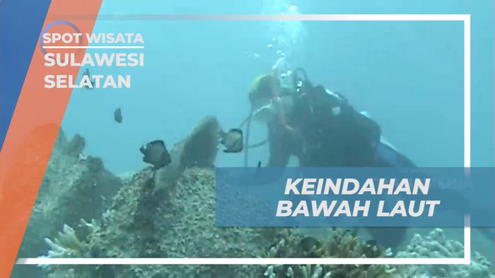 Indahnya Bawah Laut Pulau Selayar Sulawesi Selatan