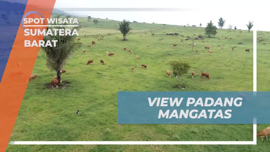 Padang Mangatas, Keindahan Alam Seperti di Greenland, Limapuluh Kota Sumatera Barat