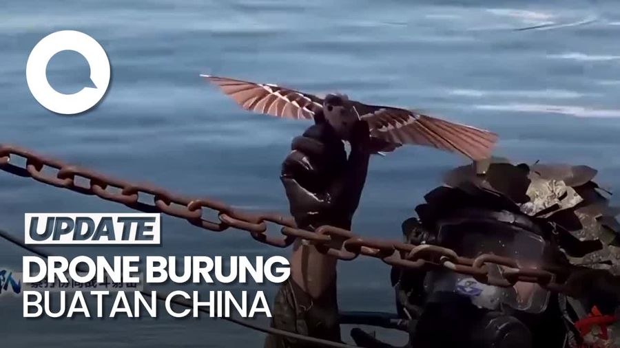 China Bikin Drone Canggih Berbentuk Burung