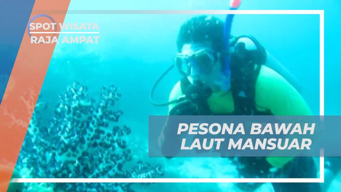 West Mansuar, Titik Penyelaman Raja Ampat yang Termasyur ke Mancanegara