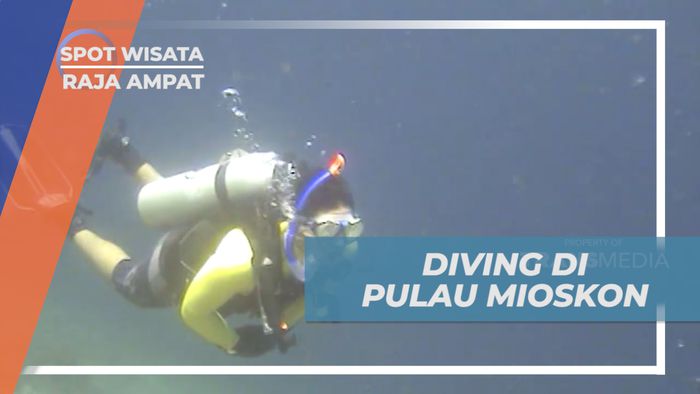 Menelusuri Dunia Bawah Laut Pulau Mioskon, Raja Ampat