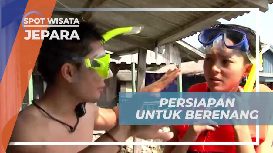 Persiapan Sebelum Berenang Bersama Ikan Hiu Jinak, Jepara