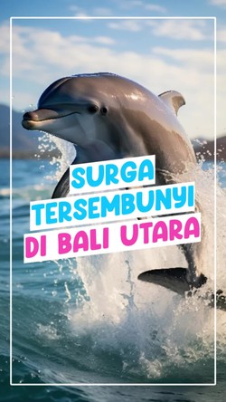 Berburu Lumba-lumba di Laut Bali Utara