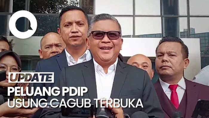 Senyum Hasto Seusai Dengar Putusan MK Soal Pilkada