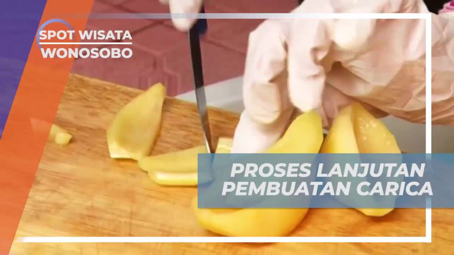 Pengambilan Sari Buah Carica Untuk Disimpan di Wadah, Wonosobo