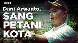 Dani Arwanto, Sulap Gang Kumuh Jadi Lumbung Pangan