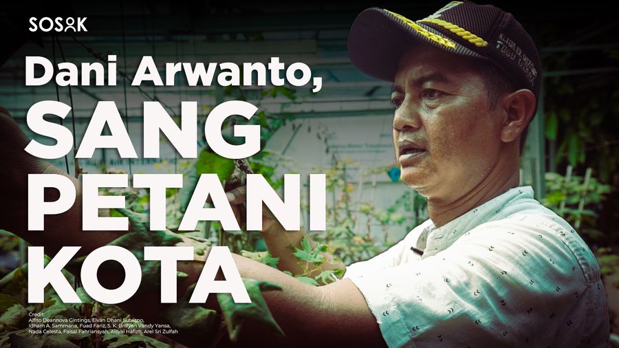 Dani Arwanto, Sulap Gang Kumuh Jadi Lumbung Pangan