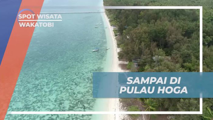 Tiba di Pulau Hoga Dengan Keindahan Pasir Putihnya, Wakatobi