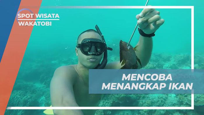 Mencoba Berburu Ikan Dengan Spearfishing di Dasar Laut Wakatobi