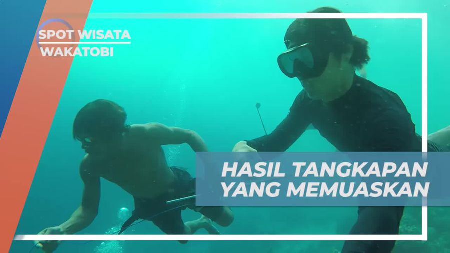 Ikan Hasil Tangkapan Spearfishing Memuaskan Untuk Pemula, Wakatobi
