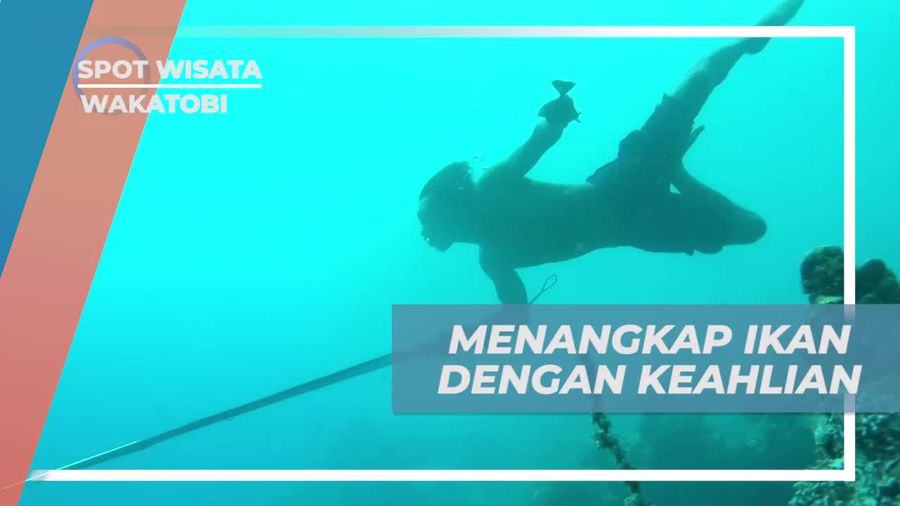 Berjalan Kaki di Dasar Laut Wakatobi, Berburu Ikan Dengan Spearfishing