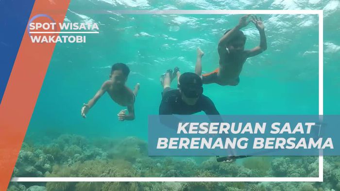 Berenang Menikmati Sensasi Segar di Pulau Hoga Wakatobi