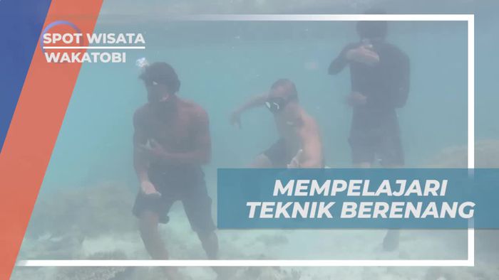 Berenang, Teknik Dasar Untuk Belajar Spearfishing di Wakatobi