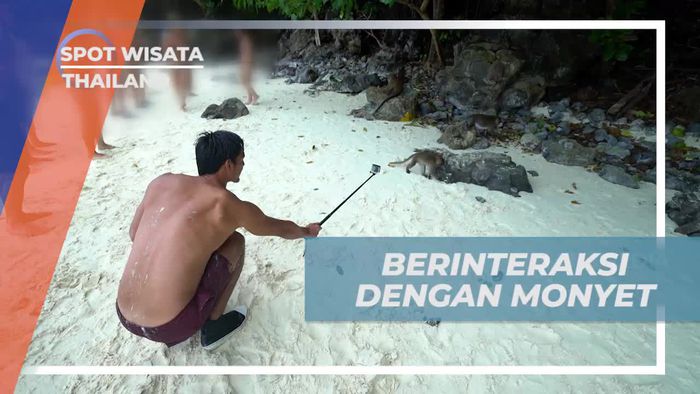Berinteraksi Dengan Monyet di Monkey Beach Thailand