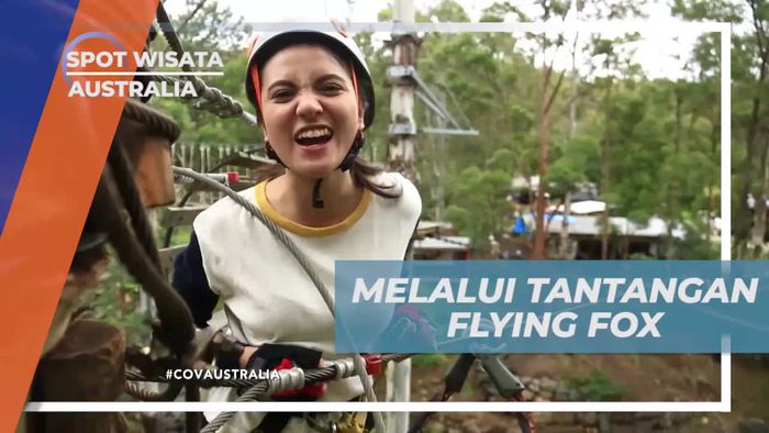 Meluncur Seru Bermain Flying Fox di Australia