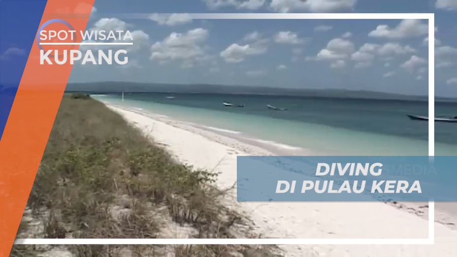 Menyelam dan Menyaksikan Sisi Bawah Laut Terbaik di Lepas Pantai Pulau Kera, Kupang