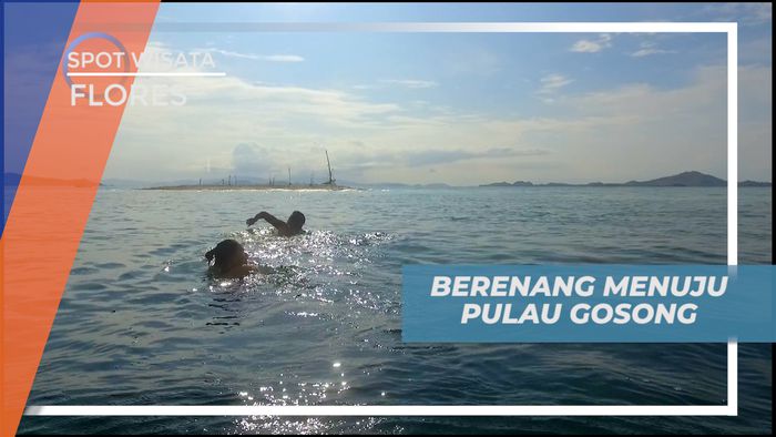 Melompat dari Kapal Pinisi dan Adu Cepat Berenang Menuju Pulau Gosong Pasir, Flores