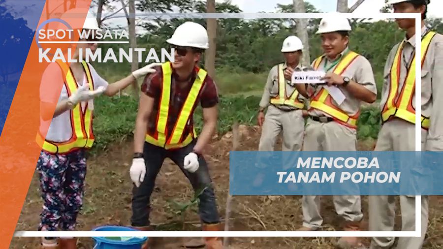 Mencoba Tanam Pohon Penghijauan di Lahan Reklamasi di Binungan Kalimantan Timur