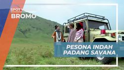 Menikmati Pesona Keindahan Padang Savana Gunung Bromo Jawa Timur