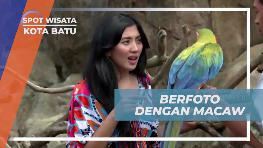 Berfoto Ria Dengan Burung Macaw Cantik, Kota Batu