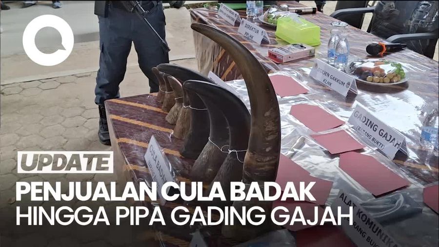 Jual Cula Badak-Pipa Gading Gajah Via FB, Pria di Palembang Ditangkap