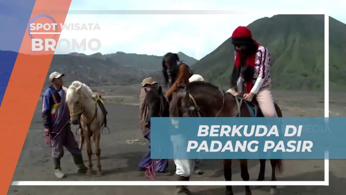 Berkuda Menyusuri Padang Pasir di Gunung Bromo Jawa Timur