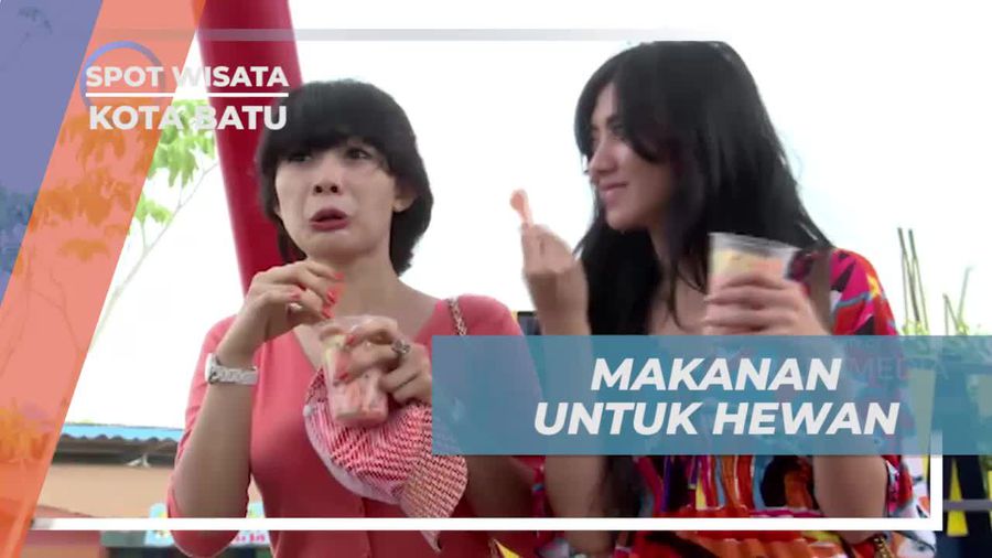 Berbelanja Makanan Satwa di Batu Secret Zoo Kota Batu