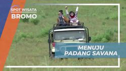 Perjalanan Menuju Padang Savana Kawasan Gunung Bromo Jawa Timur