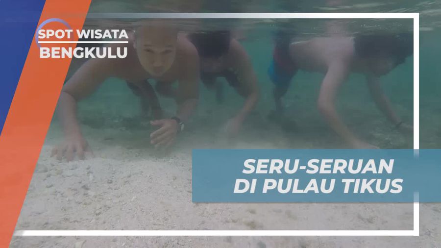 Seru-seruan Berenang Menikmati Keindahan Alam Pulau Tikus Bengkulu