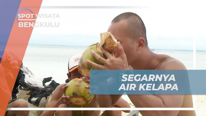 Menikmati Kesegaran Air Kelapa di Pantai Tikus Bengkulu