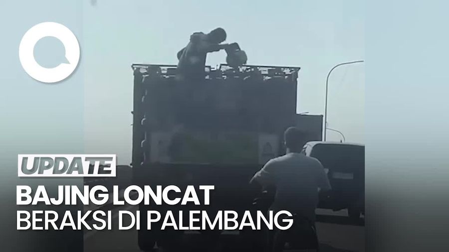 Viral Aksi Bajing Loncat di Palembang Gasak Tabung Gas dari Atas Truk