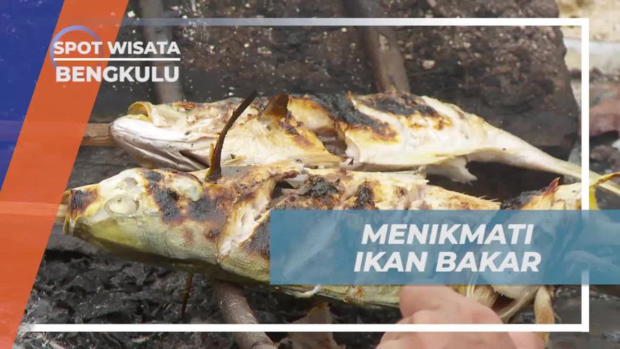 Menikmati Sensasi Gurih Ikan Bakar di Tepi Pantai Tikus Bengkulu