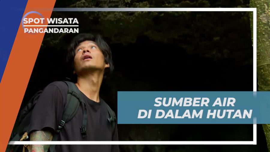 Melihat Sumber Air di Hutan Hujan Tropis Pangandaran
