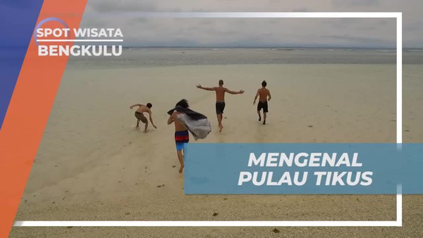 Melihat Keindahan Panorama Alam Pulau Tikus Bengkulu