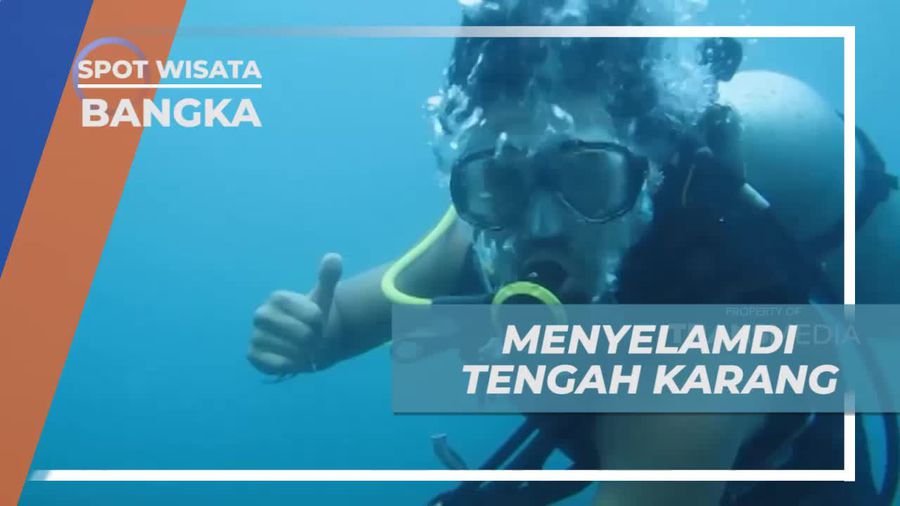 Snorkeling Seru Menikmati Keindahan Karang Cantik di Bangka