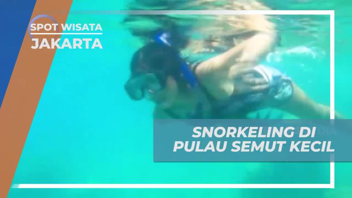 Snorkeling Menyusuri Keindahan Bawah Laut Pulau Semut Kecil Jakarta