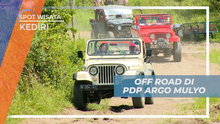 Turun Gunung Kelud Langsung Berkendara Off Road di Perkebunan Argo Mulyo Kediri
