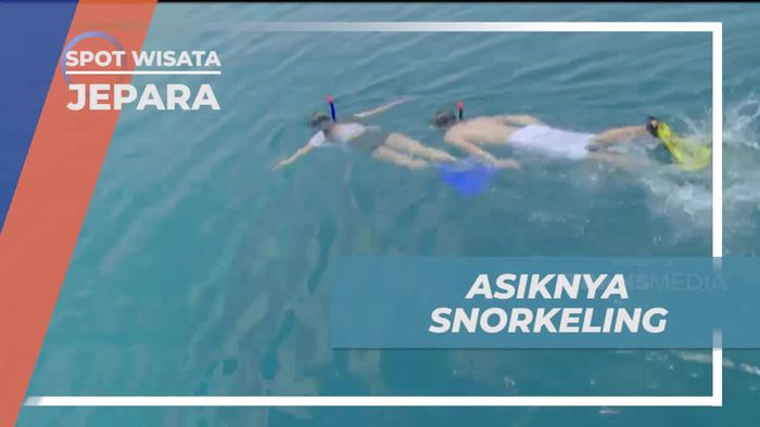 Snorkeling Asik Menyusuri Keindahan Bawah Laut Karimunjawa, Jepara
