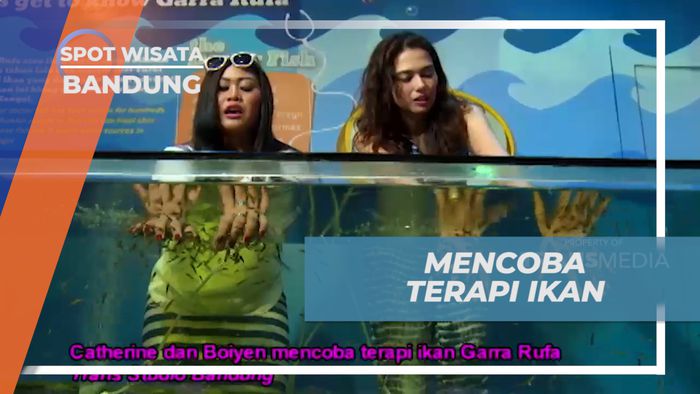 Sensasi Merasakan Terapi Ikan di Wahana Science Center Trans Studio Bandung