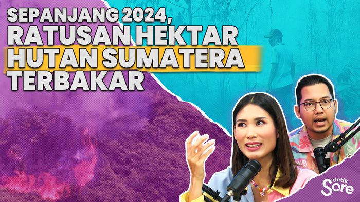 Sepanjang 2024, Ratusan Hektar Hutan Sumatera Terbakar